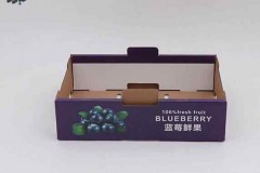 Carton-Box-of-Blueberry-2