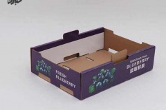 Carton-Box-of-Blueberry