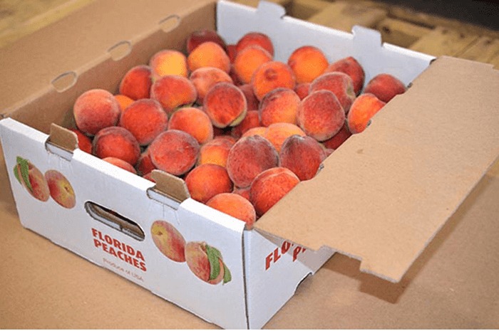 کارتن بسته بندی هلو صادرانی