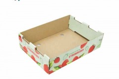 کارتن بسته بندی میوه