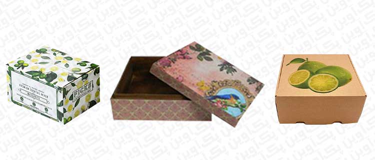 طراحی کارتن در گلبرگ باکس