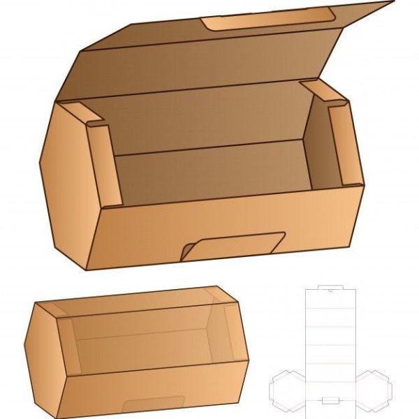 کارتن دایکاتی بدون چاپ