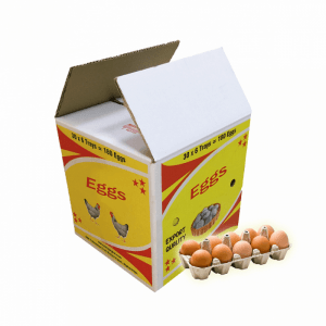  Export egg cartons