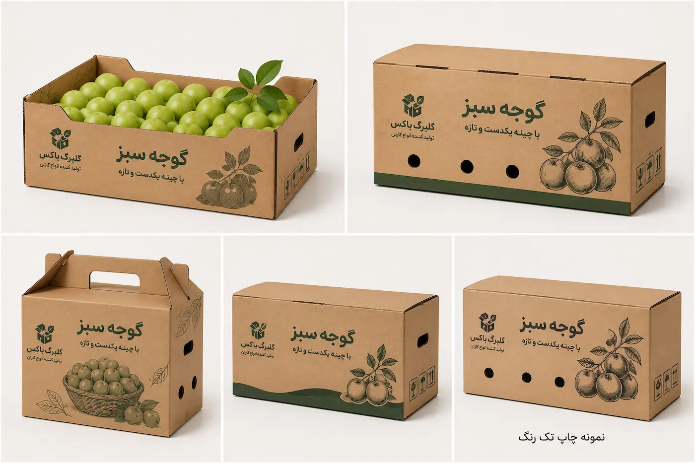 کارتن گوجه سبز2
