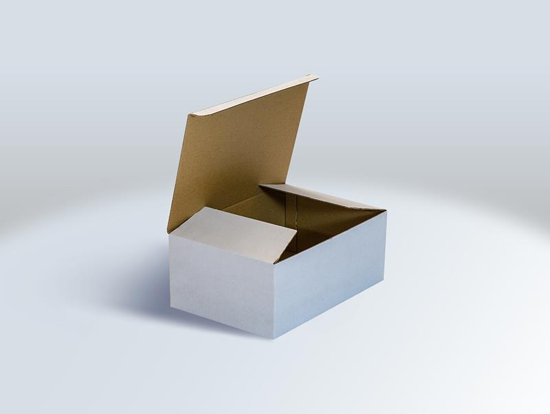 مقایسه جعبه مقوایی و هارد باکس