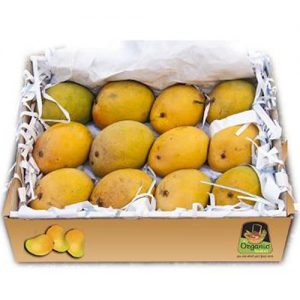 Export fruit cartons - 3-layer cartons - types of fruit cartons - carton manufacturing in Karaj and Tehran