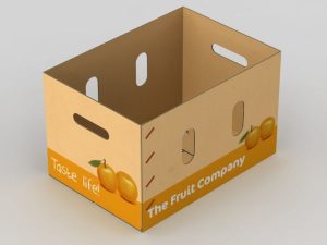 Fruit export cartons - types of fruit cartons