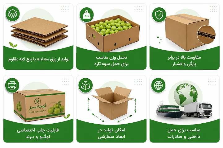 کارتن گوجه2