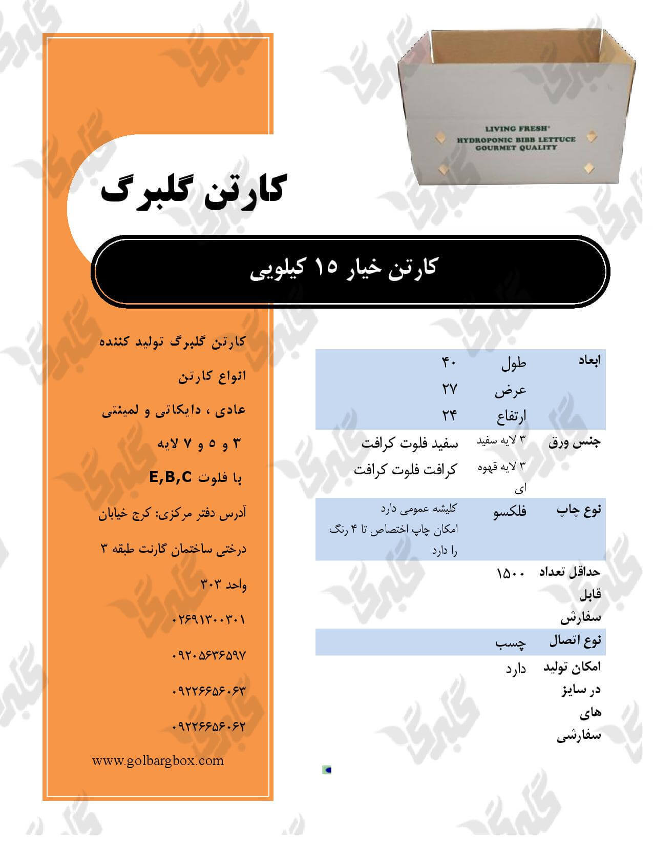 کارتن خیار