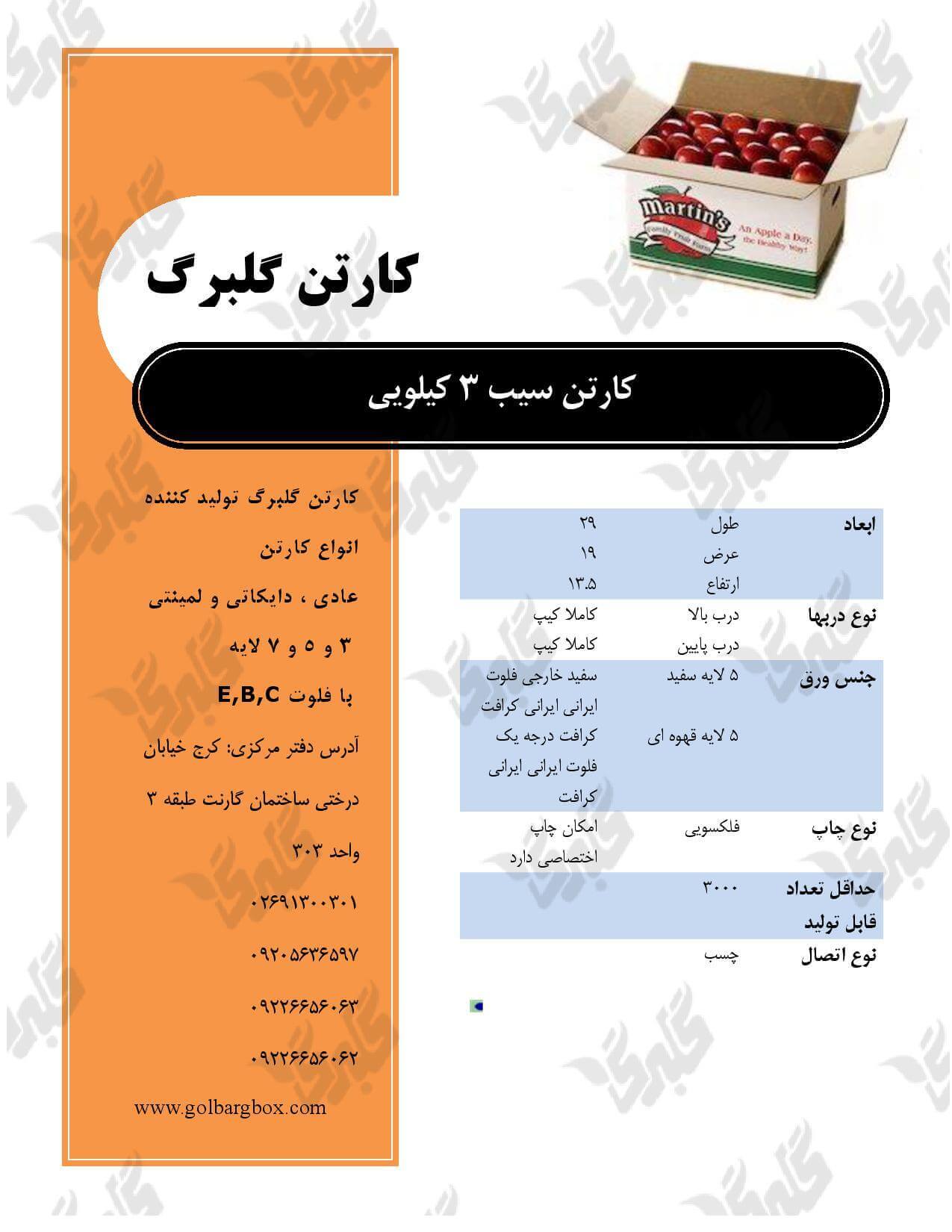 کارتن سیب 3 کیلویی
